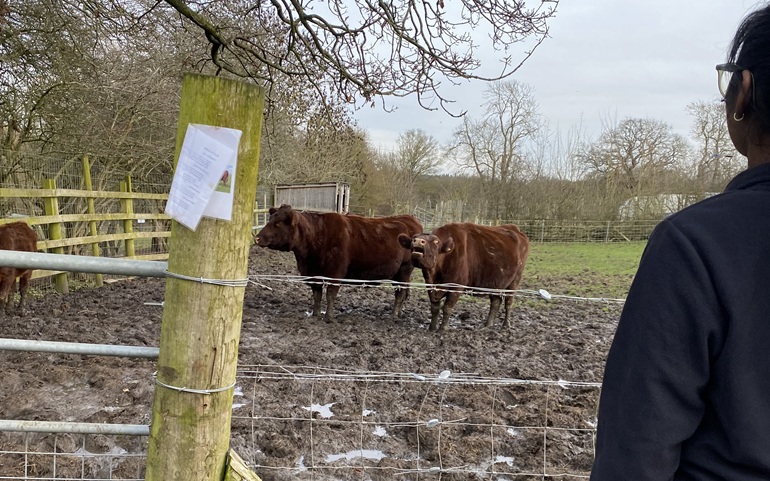 WOHAA group Heartwork