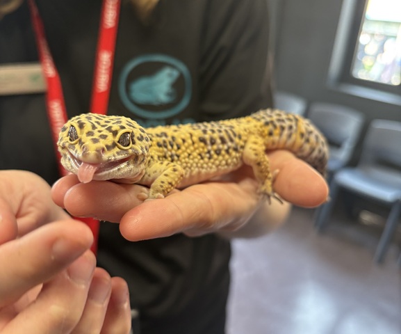 Zoolab Brings Learning to Life for Year 7 Students